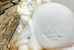 Tinos, weißer Marmor