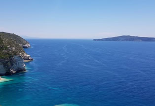 Antipaxos