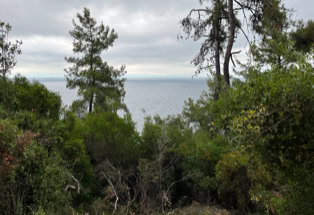 Grüne Insel Thassos