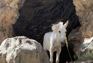 Westkreta, Samaria-Schlucht