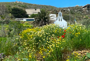Tinos im Frühling