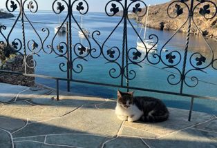 Sifnos, Blick