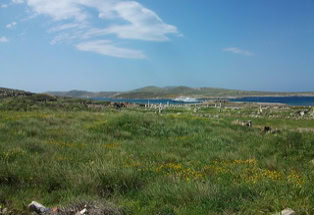 Delos. Griechische Insel mit antiken Stätten.