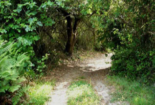 wandern auf Erikousa