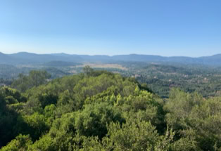 herrlich grünes Inselinneres, Korfu