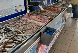 Bildergalerie Kalymnos