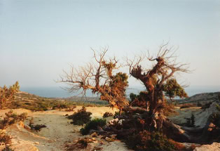 Gavdos, griechische Insel