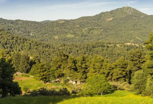 Griechische Insel Euböa, grün und hügelig