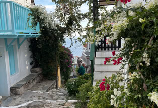 Alonissos, im alten Dorf