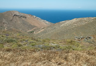 Blick über kargen Felsbewuchs vom top der Insel Anafi aufs blaue Meer