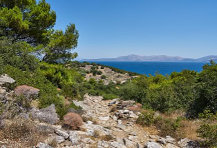 Alter Eselsweg auf der Insel Euböa