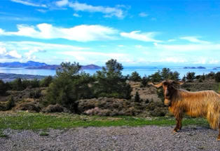 Blick auf Kalymnos und Pserimos von Kos