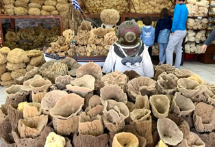 Bildergalerie Kalymnos